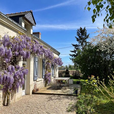 Chambres D Hotes Avec Piscine Et Spa La Foliere Saumur Villebernier Ngoại thất bức ảnh